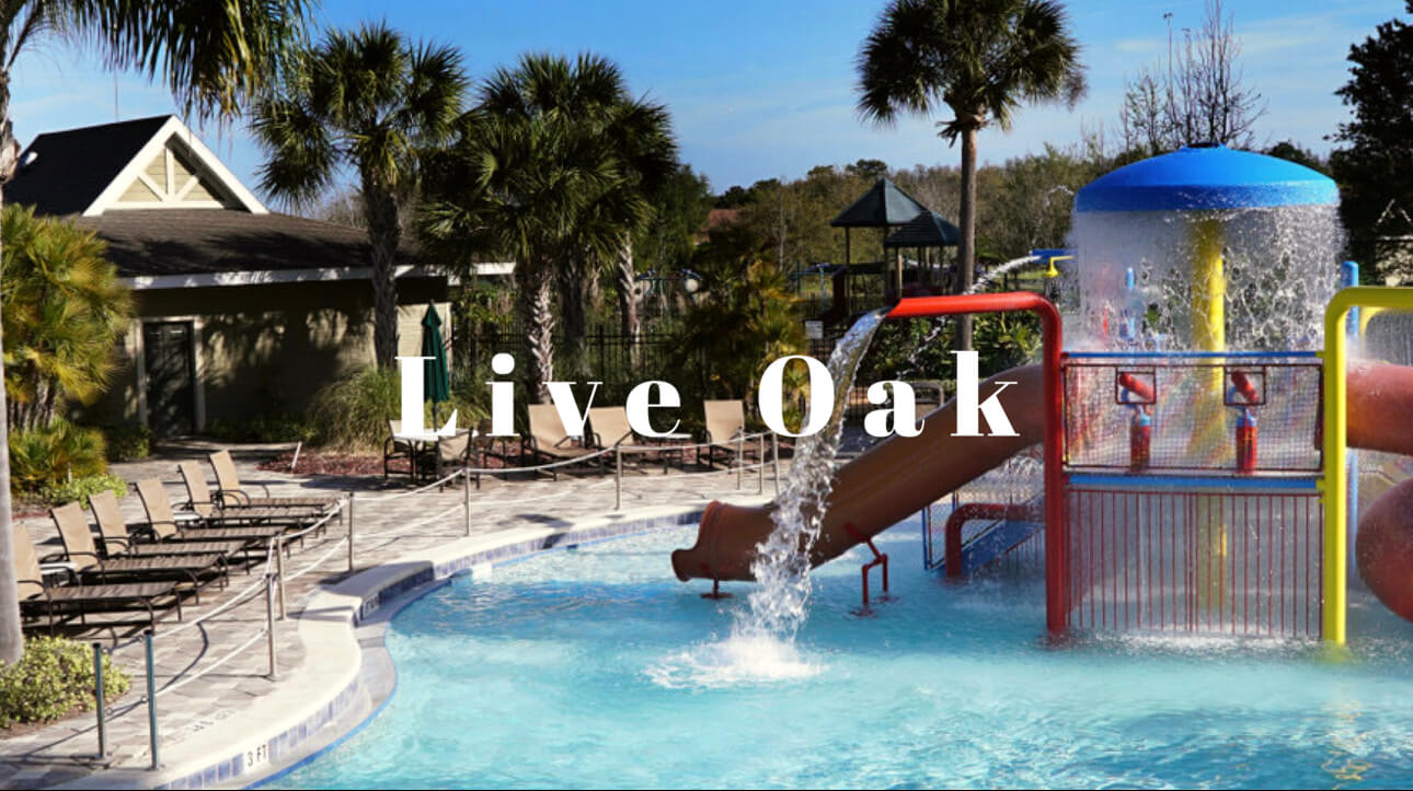 Live Oak