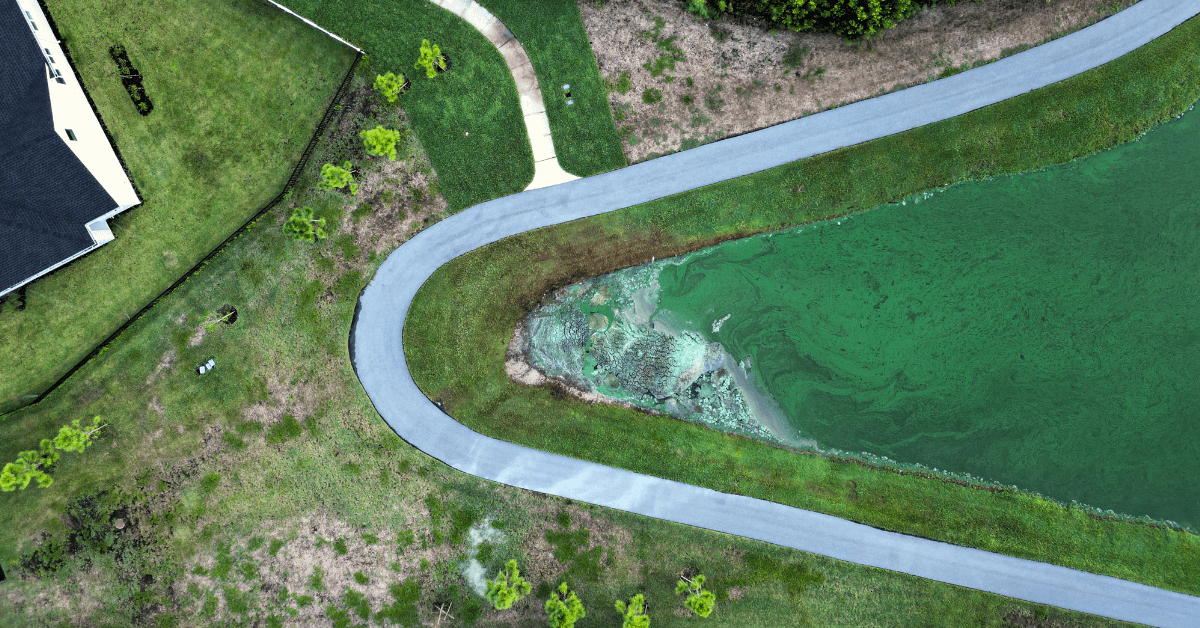 Algae Blooms in Florida